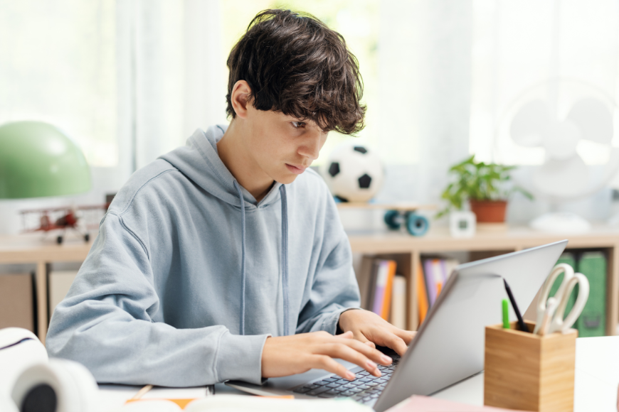 Top American curriculum online schools in the UAE for kids | CambriLearn